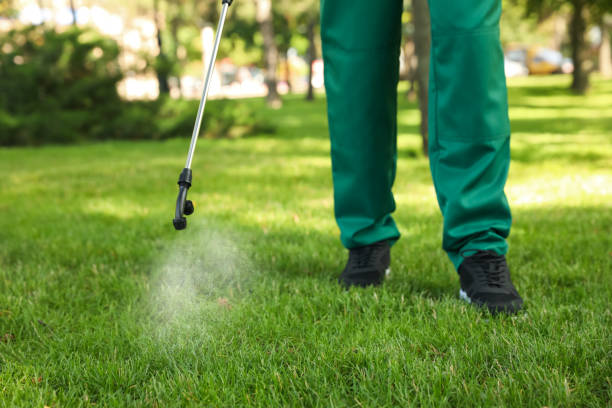 Best Cockroach Control Services  in Morgandale, OH