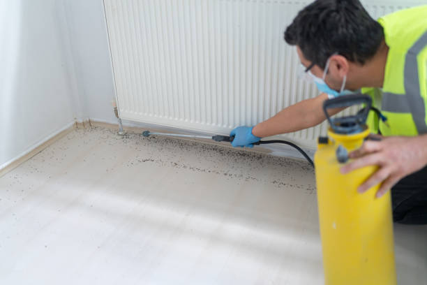Best Ant Control Services  in Morgandale, OH
