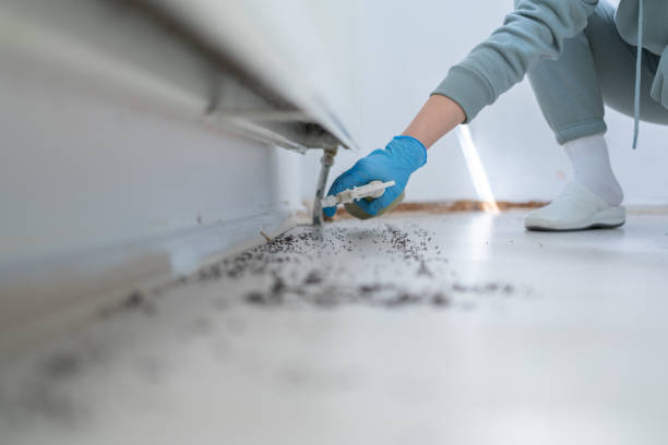 Best Best Pest Control Companies  in Morgandale, OH